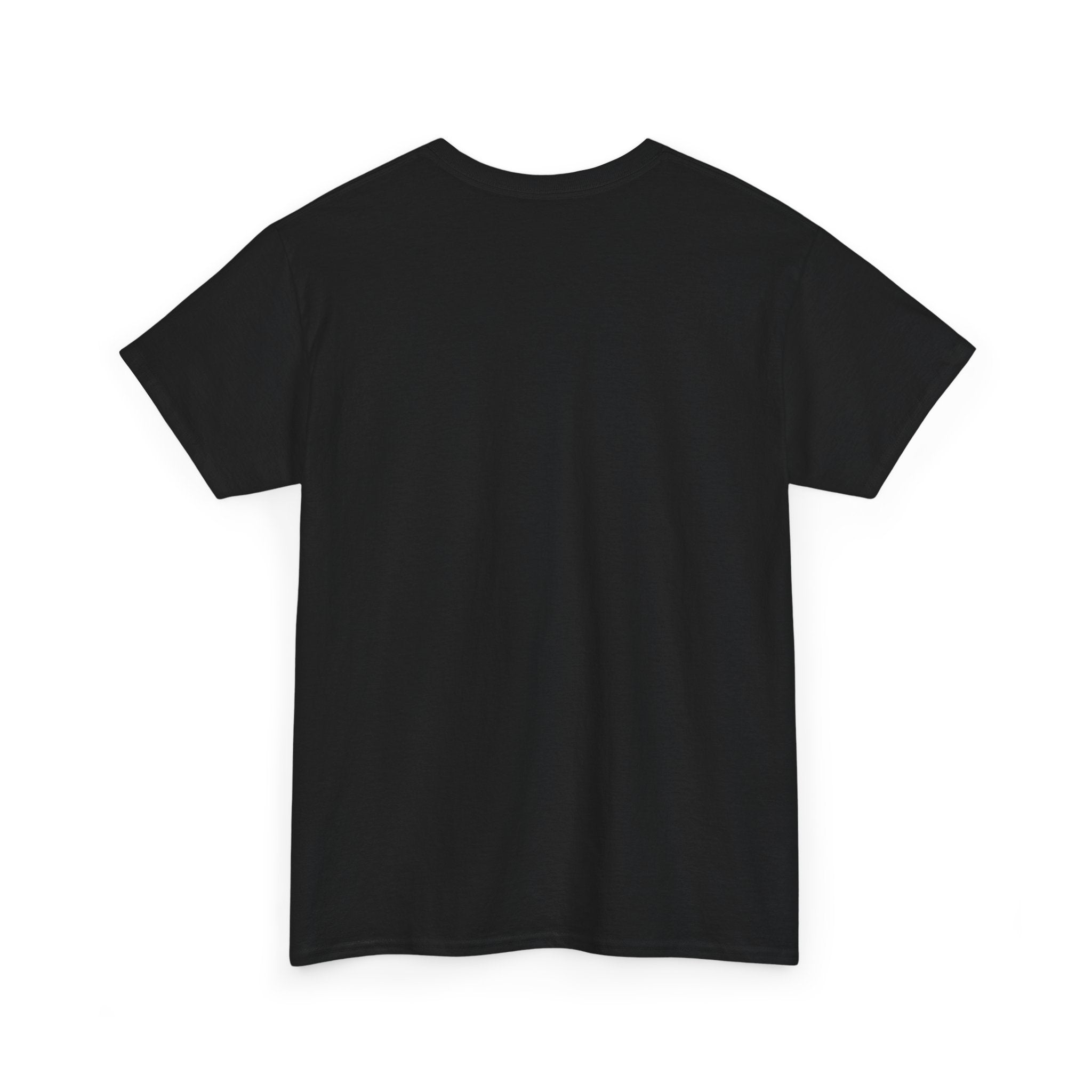 Motivational Money Graphic Tee - Unisex Heavy Cotton Shirt - Nessbeauty