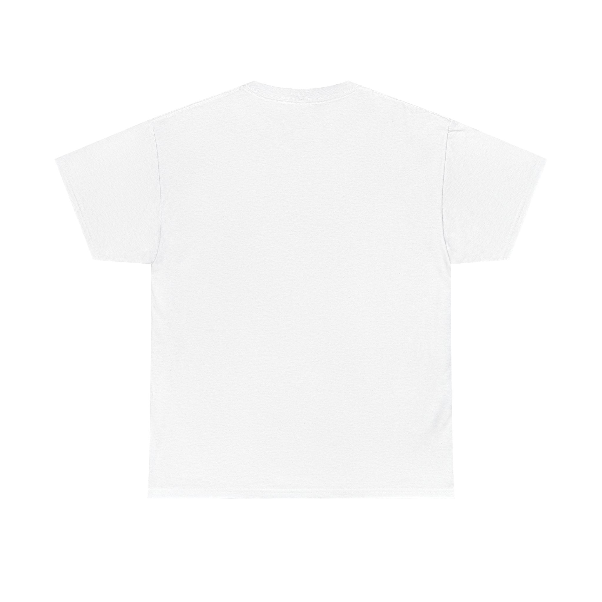 Motivational Money Graphic Tee - Unisex Heavy Cotton Shirt - Nessbeauty