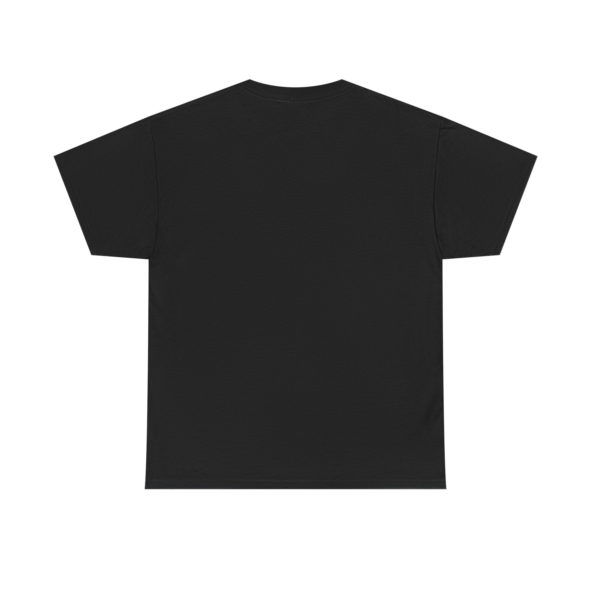Motivational Money Graphic Tee - Unisex Heavy Cotton Shirt - Nessbeauty